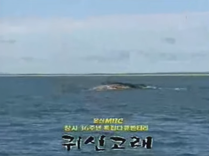 울산MBC는 2004년 러시아 사할린에서 귀신고래를 찾아 카메라에 담았다.