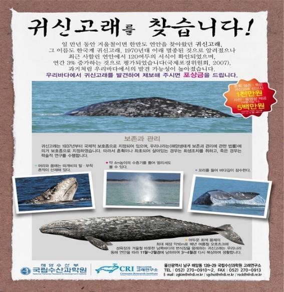 국립수산과학원 고래연구센터가 지난 2007년 귀신고래를 발견했을 경우 천만원의 포상금을 지급하기로 한 포스터. 