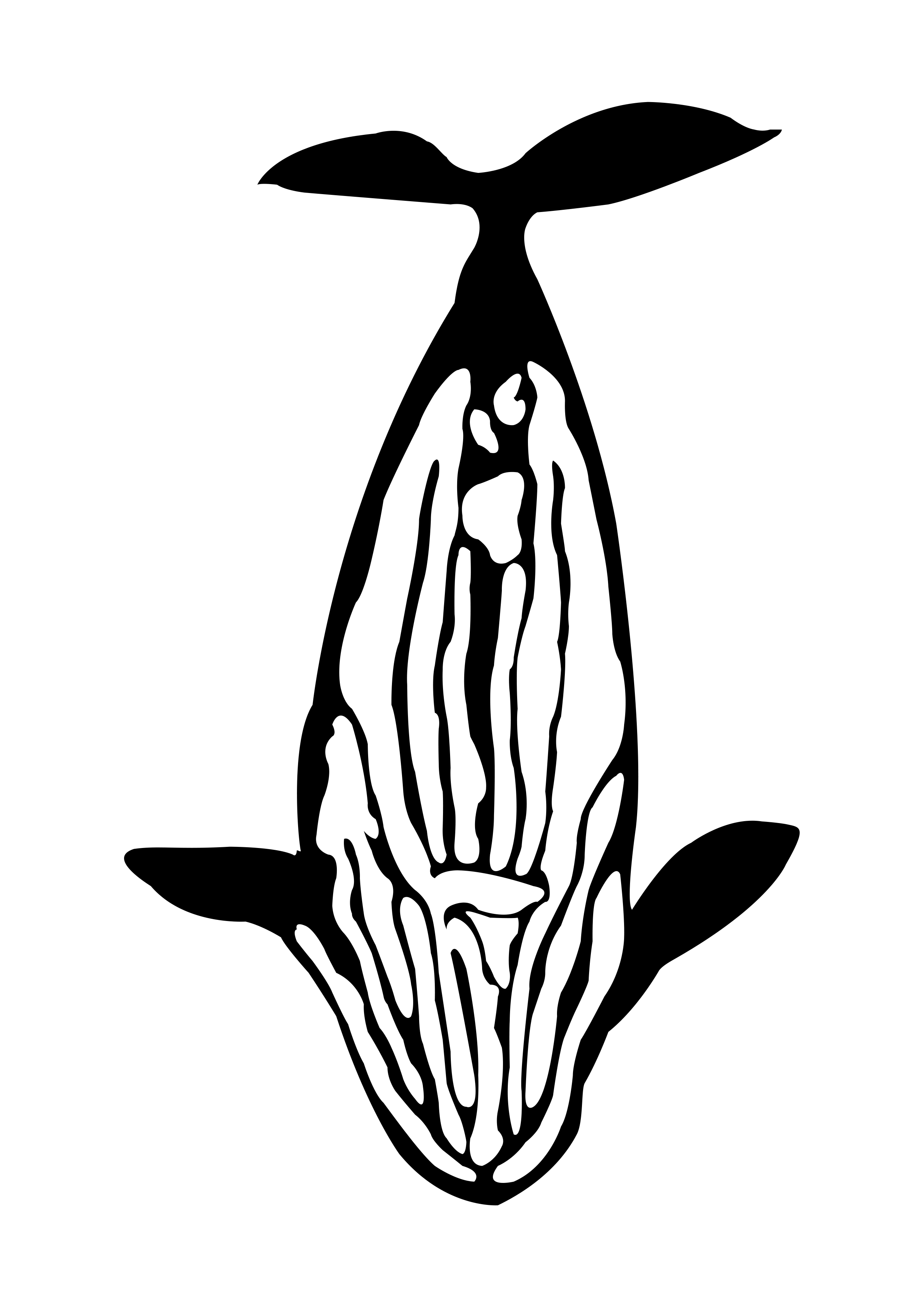 반구대 암각화에 새겨진 혹등고래