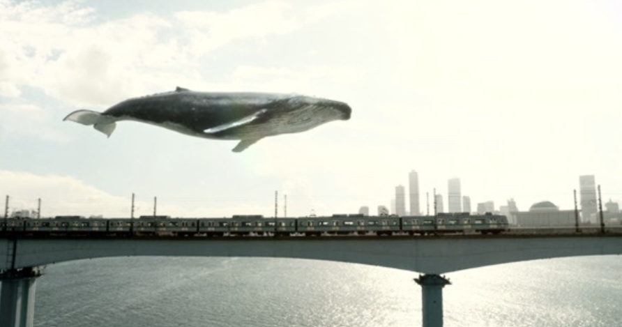 드라마 이상한 변호사 우영우에 나오는 한 장면. 혹등고래가 한강 다리 위를 날고 있다.